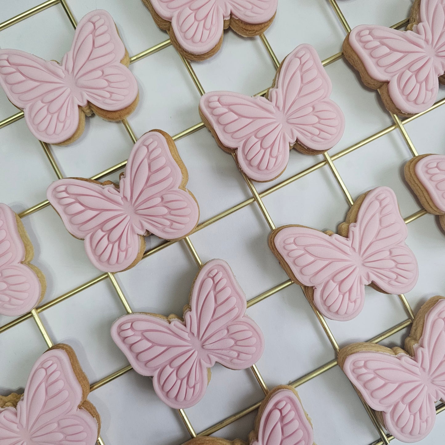 Mini Butterfly Party Favour