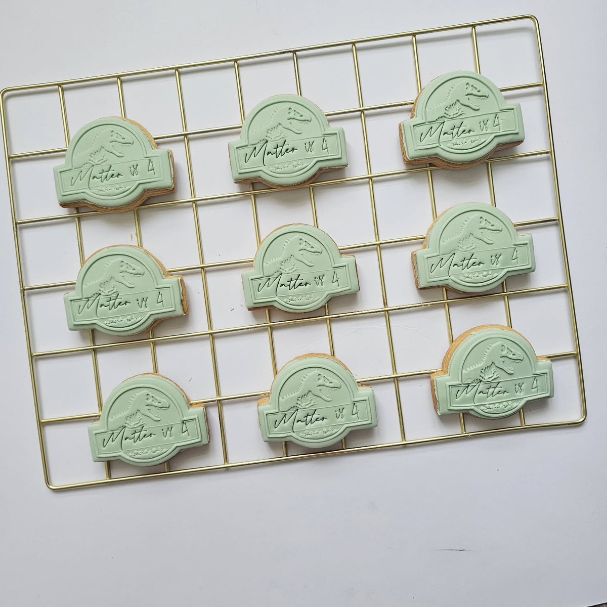 Sage dinosaur party favours